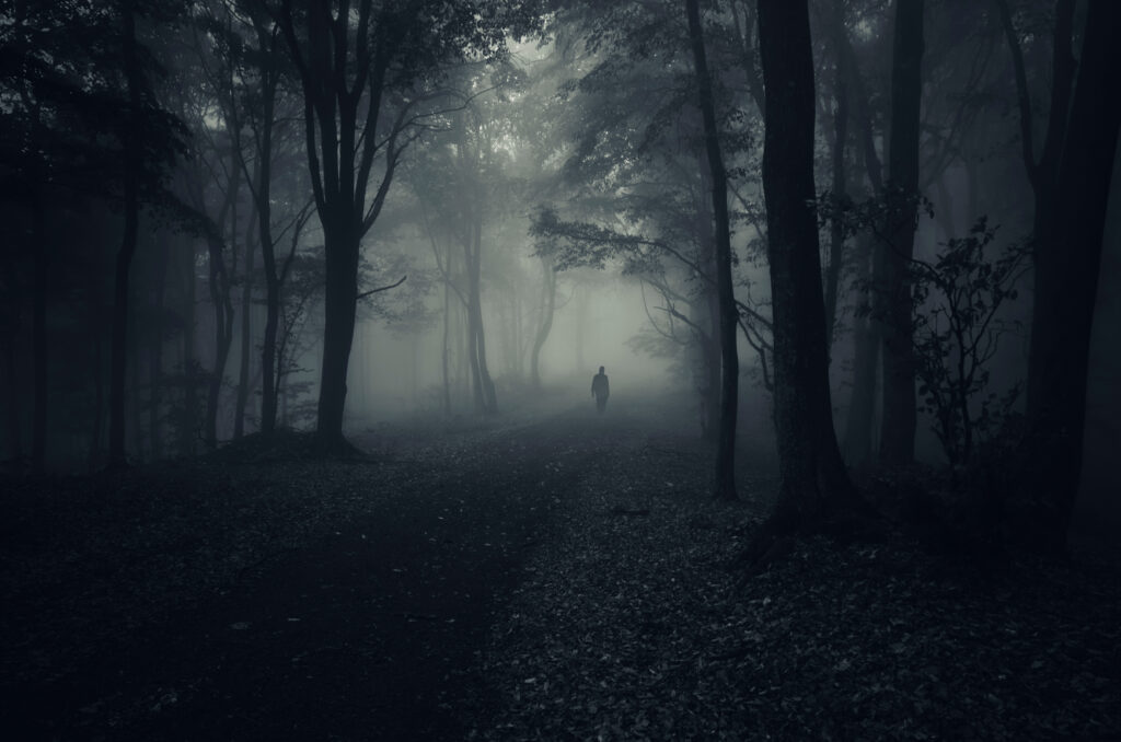 A dark forest above an article about a night vision scope